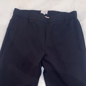 Wilfred Slacks Dress Pants from Aritzia